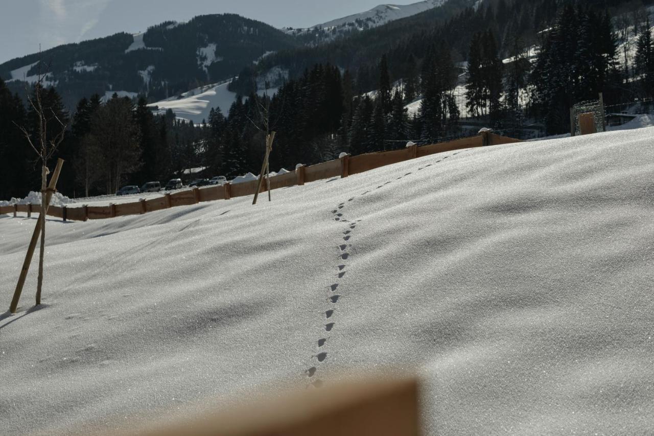Hygna Chalets Reith im Alpbachtal Exterior foto